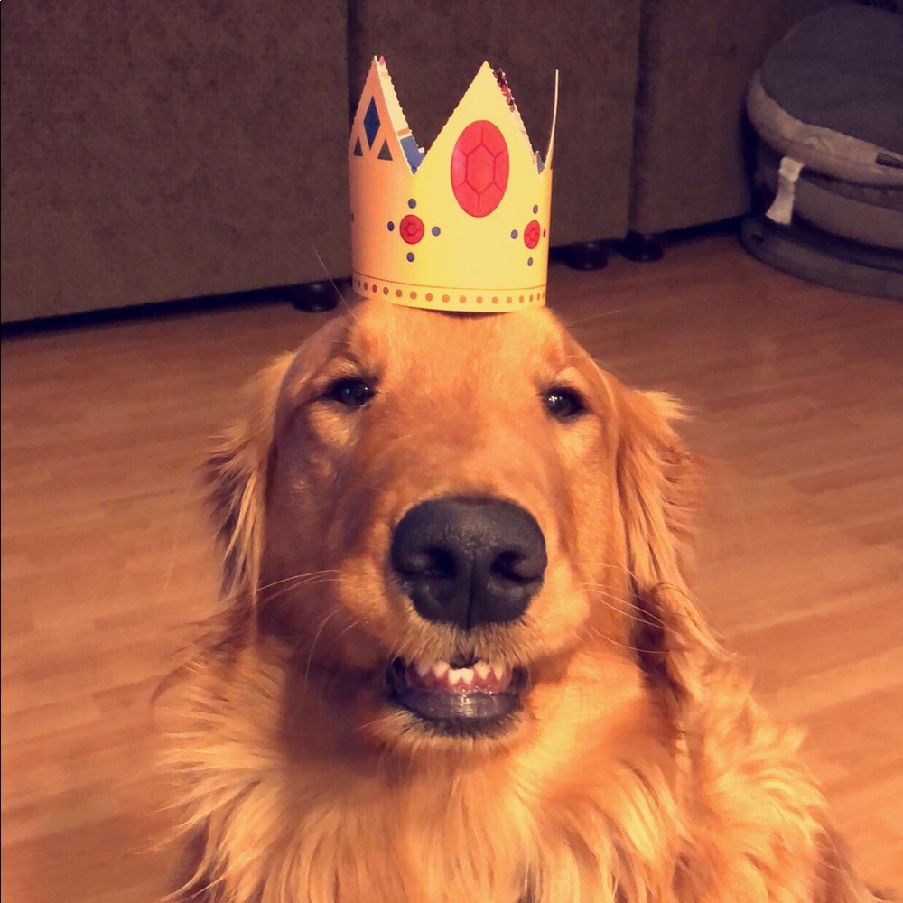 Meet your Posher, Taylor